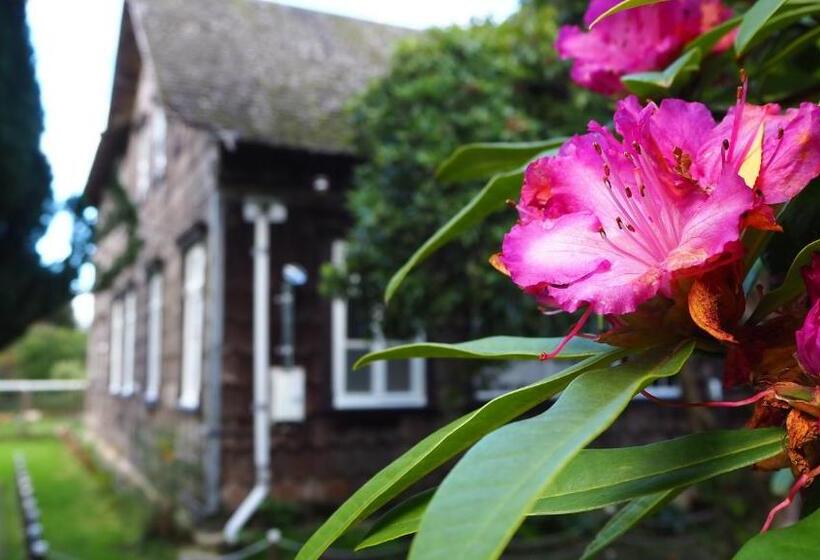 Standart Tek Kişilik Oda, Casona Alemana