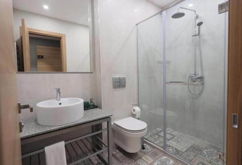 스탠다드 룸, Andor