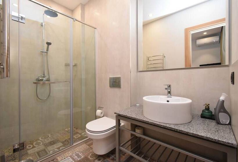 스탠다드 싱글 룸, Andor