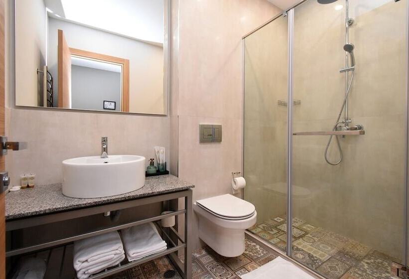 스탠다드 룸, Andor