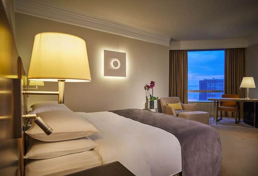 غرفة كلوب, Hyatt Regency Belgrade