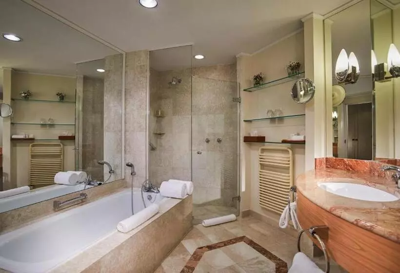 キングサイズベッドのデラックスルーム, Hyatt Regency Belgrade