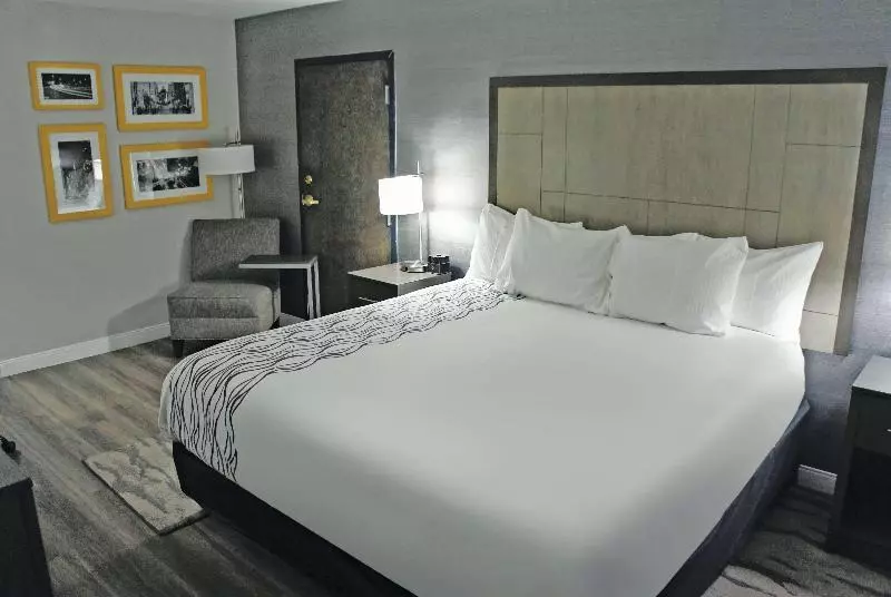 اتاق استاندارد با تخت بزرگ, La Quinta By Wyndham Raleigh Downtown North