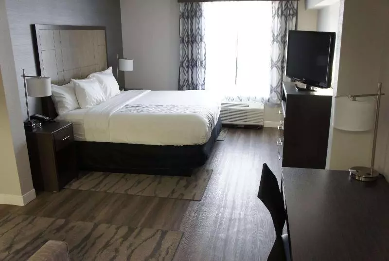 اتاق لوکس با تخت بزرگ, La Quinta By Wyndham Raleigh Downtown North