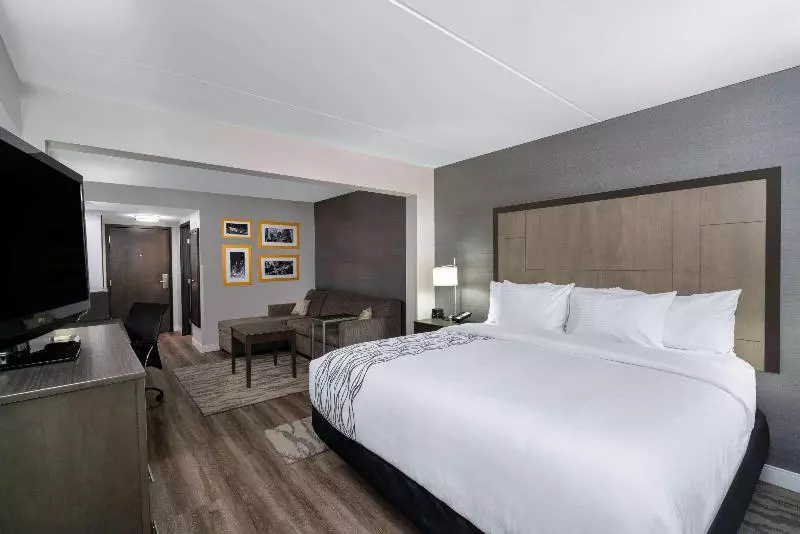 اتاق لوکس با تخت بزرگ, La Quinta By Wyndham Raleigh Downtown North