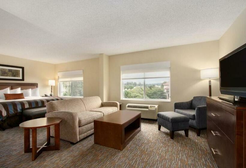 Deluxe Suite met Kingsize Bed, Wingate By Wyndham Chattanooga