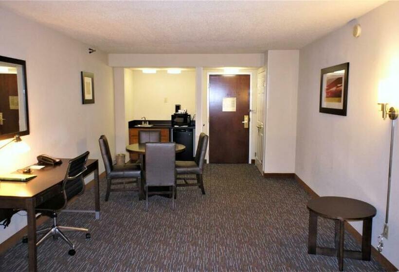 Deluxe Suite King Bed, Wingate By Wyndham Chattanooga