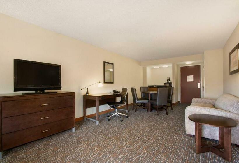Deluxe Suite met Kingsize Bed, Wingate By Wyndham Chattanooga
