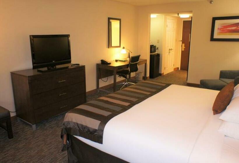 Standaardkamer met Kingsize Bed, Wingate By Wyndham Chattanooga