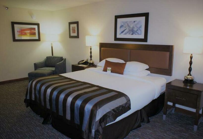 اتاق استاندارد با تخت بزرگ, Wingate By Wyndham Chattanooga