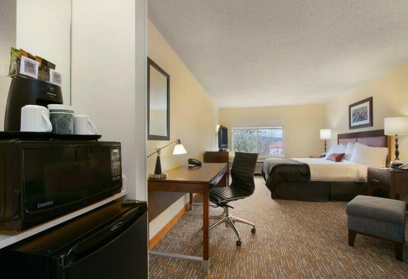 اتاق استاندارد با تخت بزرگ, Wingate By Wyndham Chattanooga