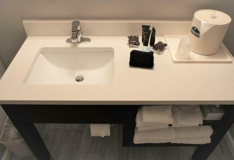 Standaardkamer met Kingsize Bed, Wingate By Wyndham Chattanooga