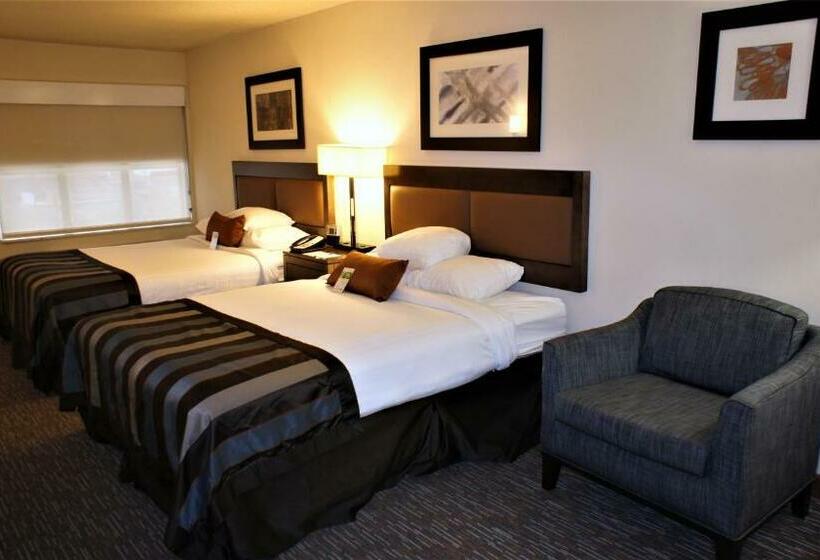 اتاق استاندارد, Wingate By Wyndham Chattanooga