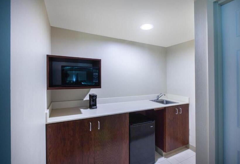 إستوديو قياسى سرير كينج, Wingate By Wyndham Oklahoma City Airport