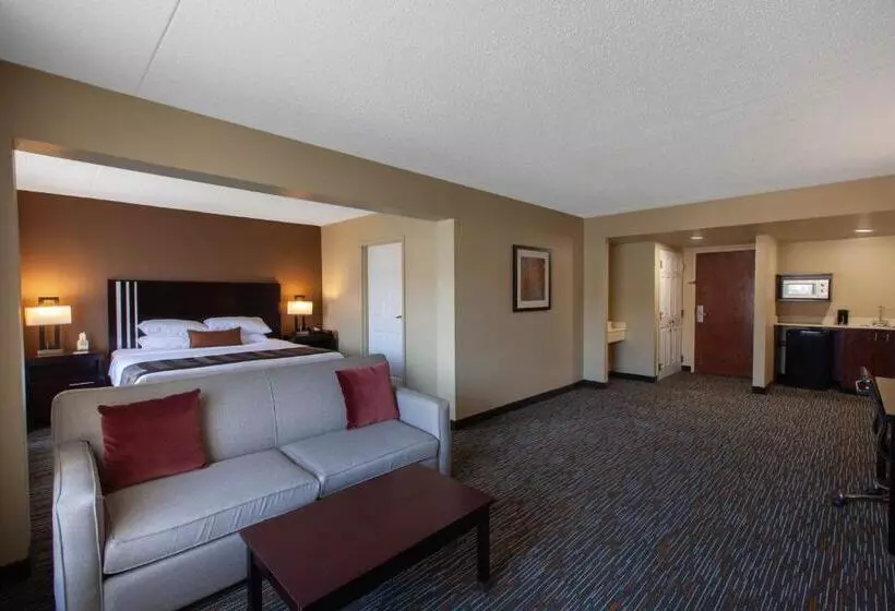 キングサイドベッドのスタンダードワンルーム, Wingate By Wyndham Oklahoma City Airport