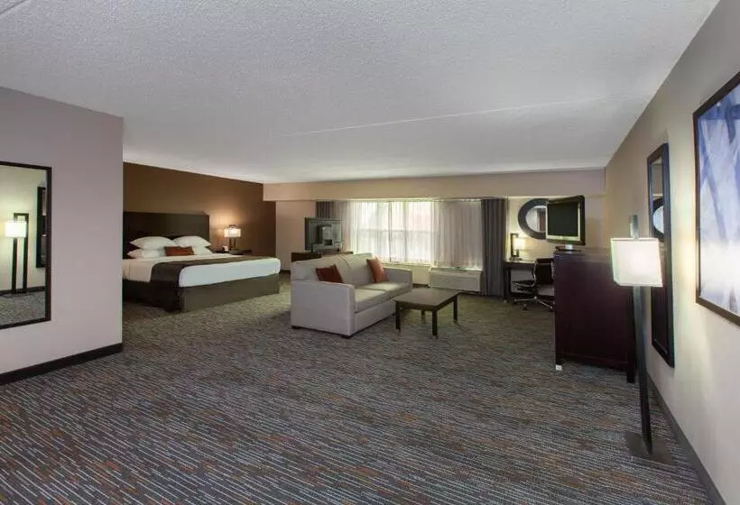 デラックススタジオ, Wingate By Wyndham Oklahoma City Airport