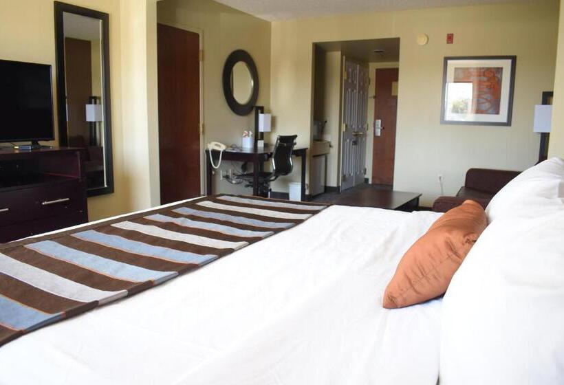 غرفة ديلوكس سرير كينج, Wingate By Wyndham Oklahoma City Airport