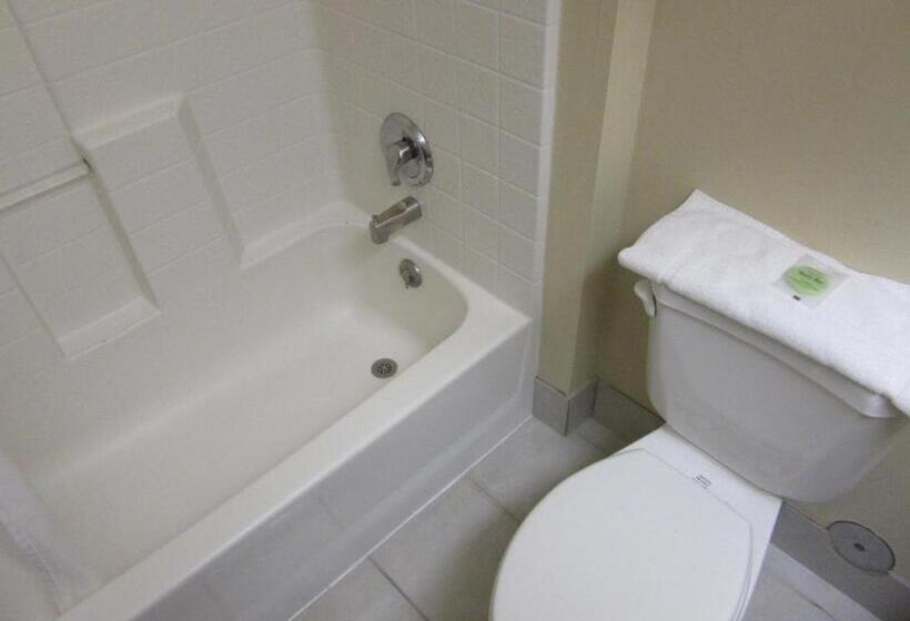 غرفة قياسية, Yellowstone Lodge