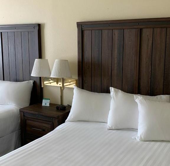 غرفة قياسية, Yellowstone Lodge