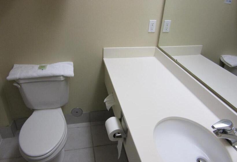 غرفة ديلوكس سرير كينج, Yellowstone Lodge