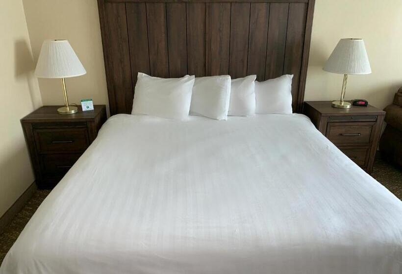 غرفة ديلوكس سرير كينج, Yellowstone Lodge