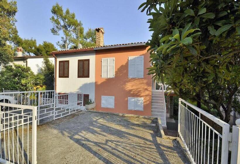 Apartament 1 Sypialnia, Apartments Miro 636