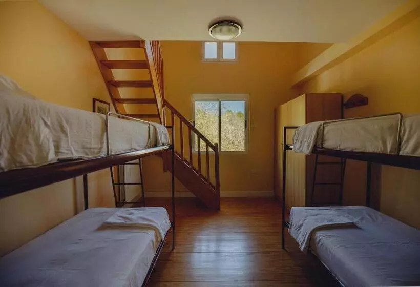 Bed in Shared Room, Amalurra Ecohotel & Retreat Center