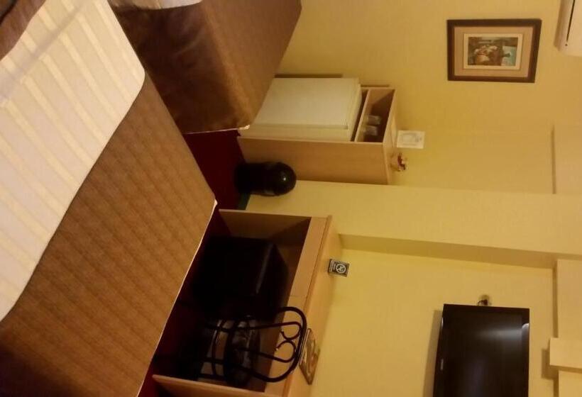 اتاق استاندارد, Embajadores