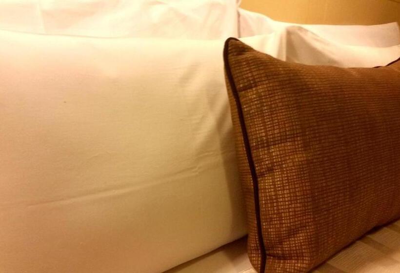 اتاق استاندارد یک نفره, Embajadores