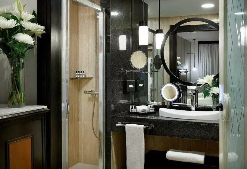 スタンダードルーム, Hyatt Regency Hesperia Madrid