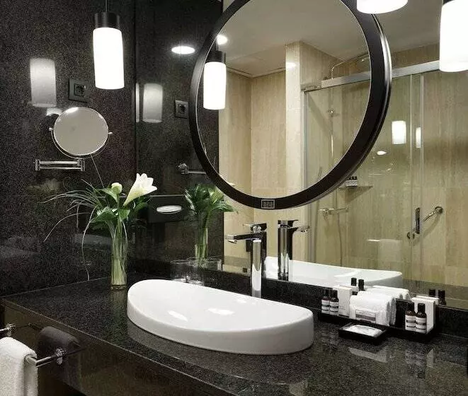 スタンダードルーム, Hyatt Regency Hesperia Madrid