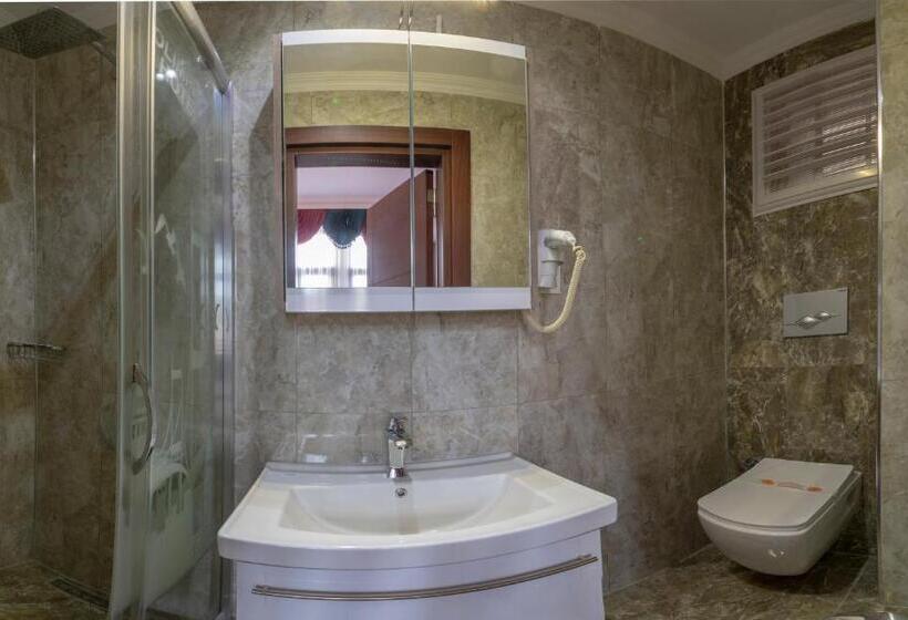 اتاق استاندارد سه نفره, Olimpic