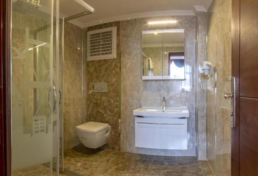 اتاق خانوادگی, Olimpic