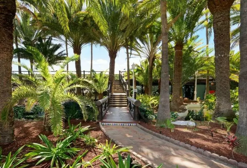 اتاق استاندارد, Parque Tropical