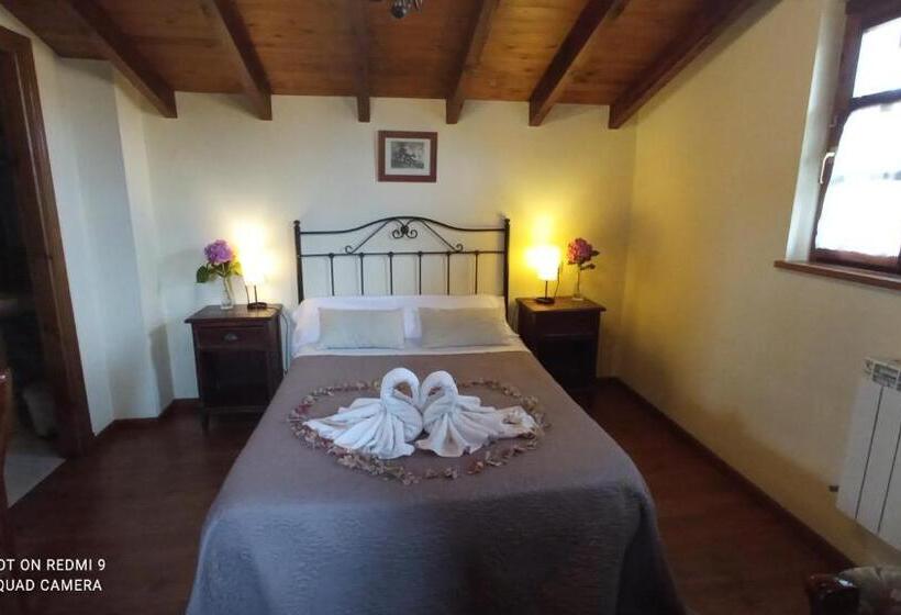 اتاق استاندارد, Rural Ovio