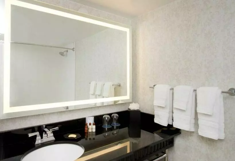 اتاق استاندارد با تخت بزرگ, Sheraton Miami Airport Hotel And Executive Meeting Center