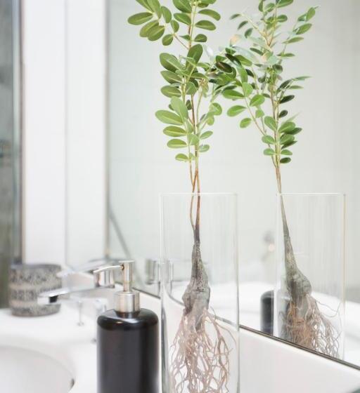 スーペリアールーム, You & Co. J. Botanico Boutique