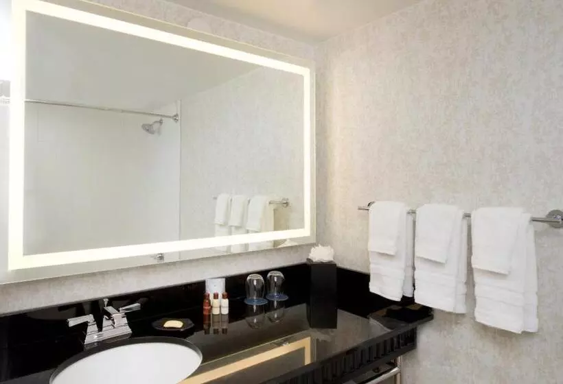 اتاق کلاسیک با چشمانداز شهر, Sheraton Miami Airport Hotel And Executive Meeting Center