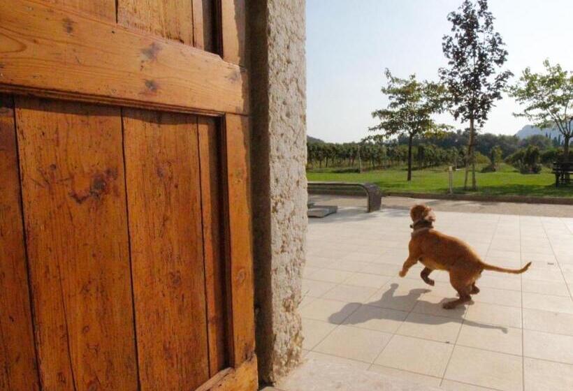 جناح مزود بتراس, Agriturismo Corte Patrizia