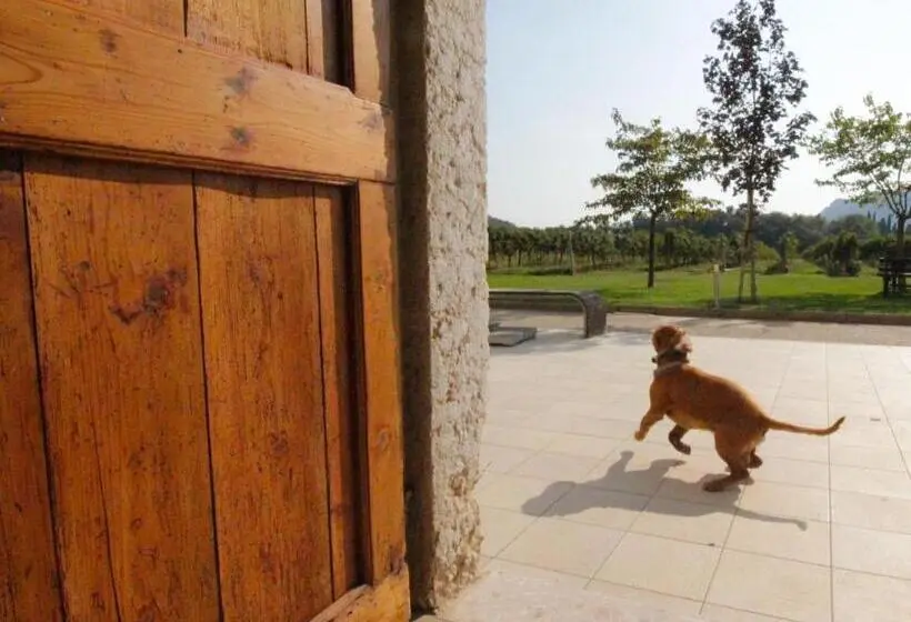 テラス付スイート, Agriturismo Corte Patrizia