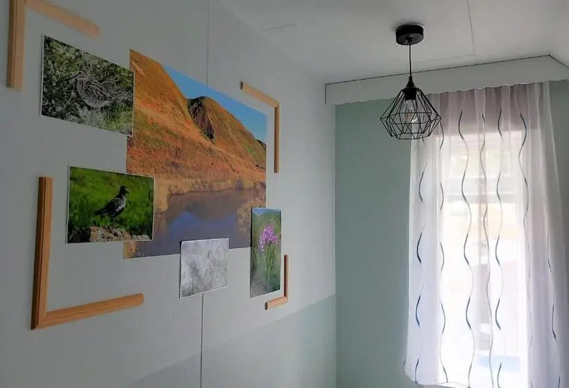 اتاق استاندارد با سرویس بهداشتی مشترک, Húsavík Green Hostel
