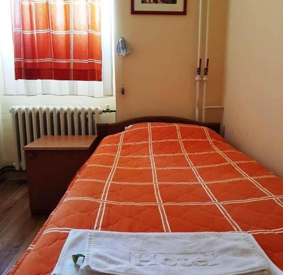 اتاق استاندارد یک نفره, Dulovic