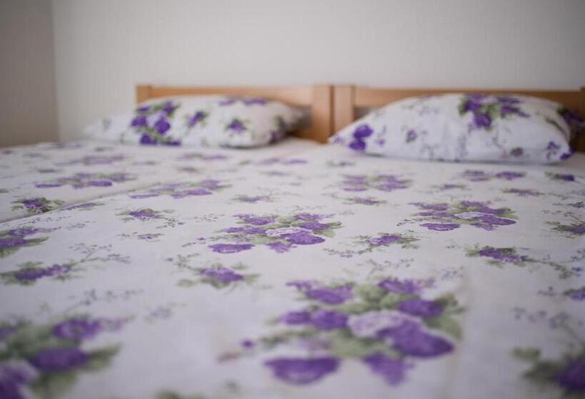 اتاق استاندارد چهارنفره با بالکن, Hostel Larisa