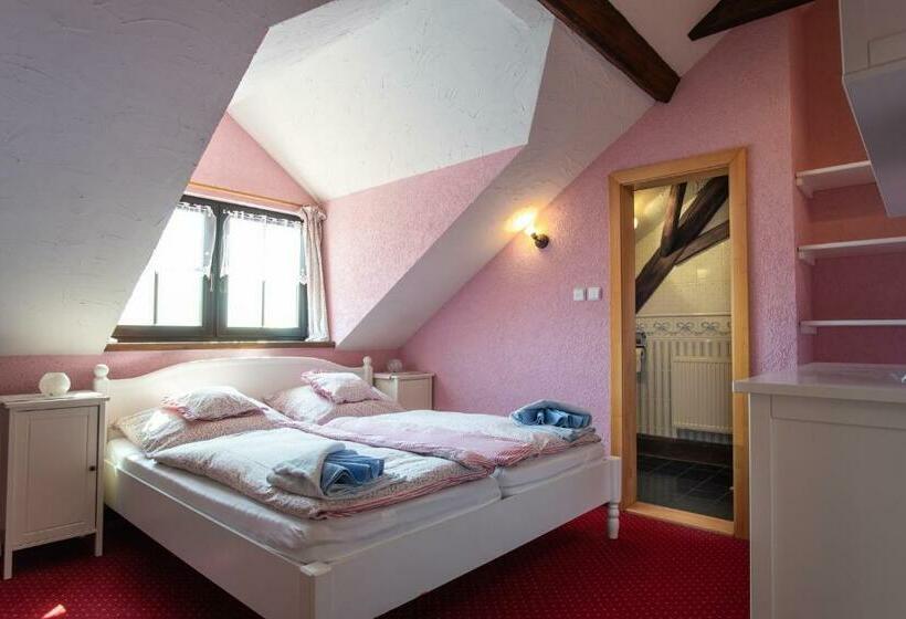 Номер Стандарт, Penzion Orlov