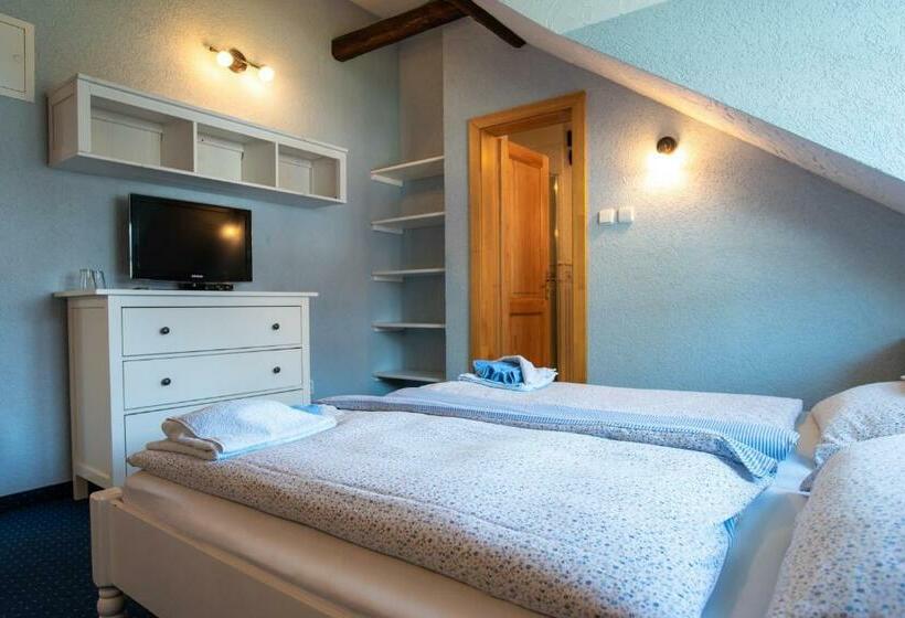 Номер Стандарт, Penzion Orlov