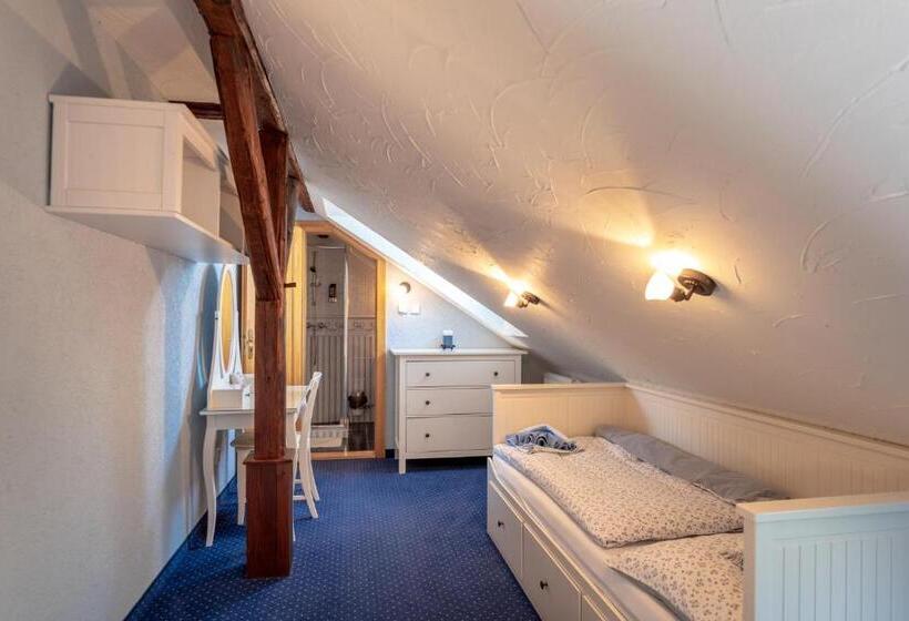 Номер Стандарт, Penzion Orlov