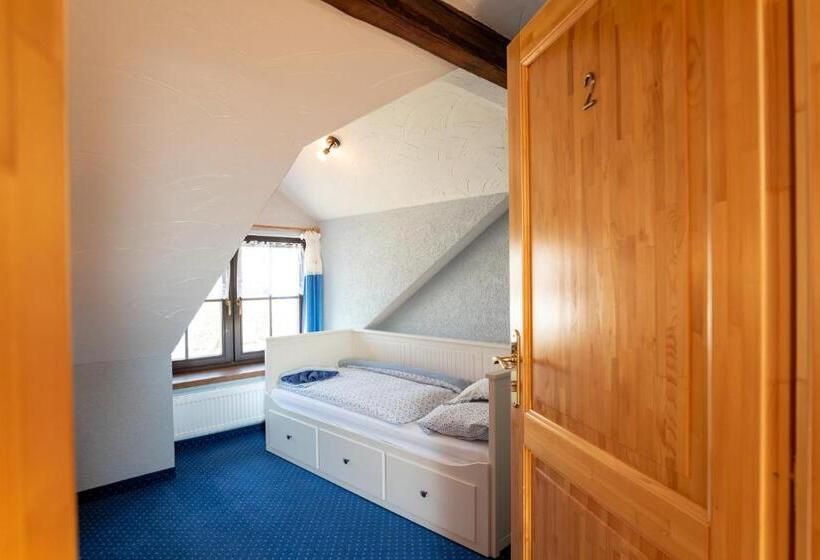 Номер Стандарт, Penzion Orlov