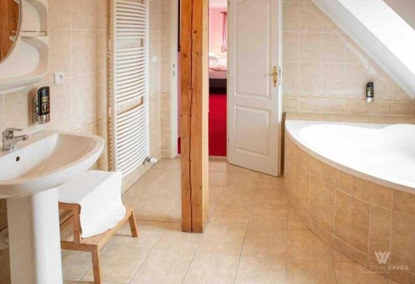 Люкс 2 Спальни, Penzion Orlov