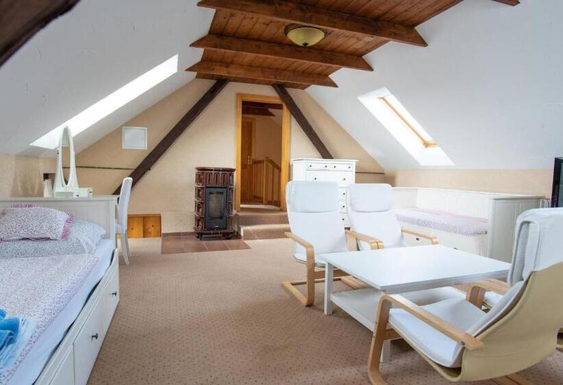 Апартаменты Superior 1 Спальня, Penzion Orlov