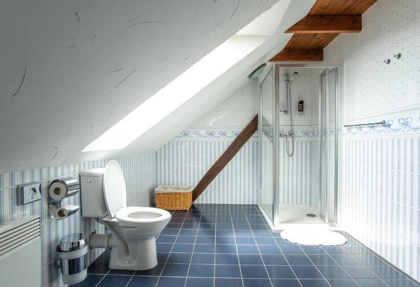 Апартаменты Superior 1 Спальня, Penzion Orlov